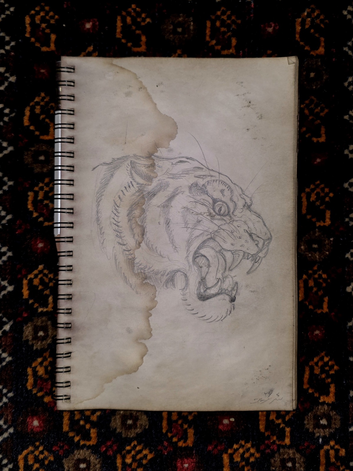 Original Sketch — tiger sketch
